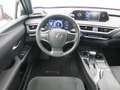 Lexus UX 250h BUSINESS 2.0 HYBRID 184 CV AUTO 5P Roşu - thumbnail 13