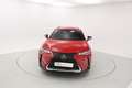 Lexus UX 250h BUSINESS 2.0 HYBRID 184 CV AUTO 5P Roşu - thumbnail 6