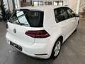 Volkswagen Golf R abbit 40 1,6 TDI SCR DSG Biały - thumbnail 7