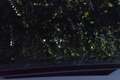 Volkswagen Touareg 3.0 TSi eHybrid 4MOTION / Puglia/ Adaptive Cruise Zwart - thumbnail 13