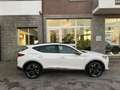 CUPRA Formentor Formentor 1.5 tsi 150cv dsg Bianco - thumbnail 5