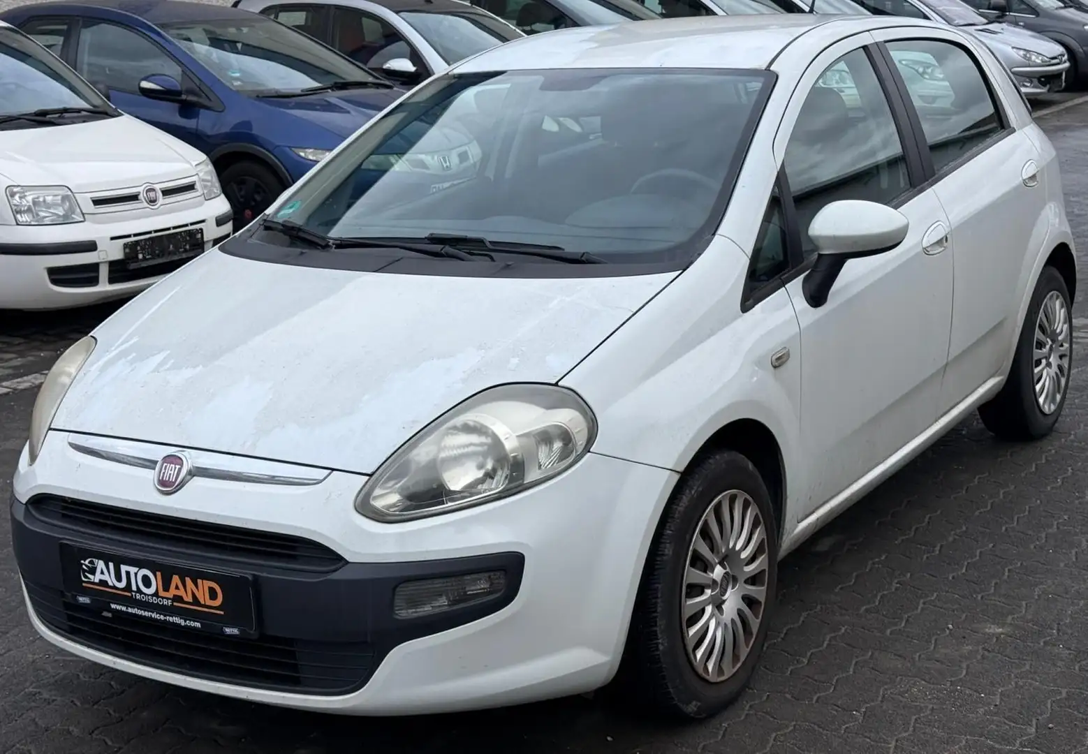 Fiat Punto Evo MyLife*1.HAND*KLIMA*TÜV 11/26 Weiß - 2