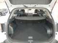 Kia Sportage 1.6 T-GDi MHEV Style Wit - thumbnail 14