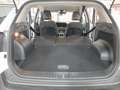 Kia Sportage 1.6 T-GDi MHEV Style Wit - thumbnail 13