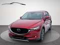 Mazda CX-5 Sports-Line AWD Rouge - thumbnail 1
