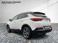 Opel Grandland AT8 GS Line BiLED/Navi/IntelliGrip Bianco - thumbnail 3
