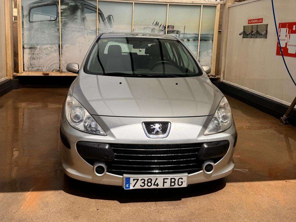 Peugeot 307 307 1.6 16v XS  XS - foto 1