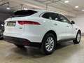 Jaguar F-Pace F-PACE AWD Navi~Klima~Automatik~Pano~Leder Wit - thumbnail 4
