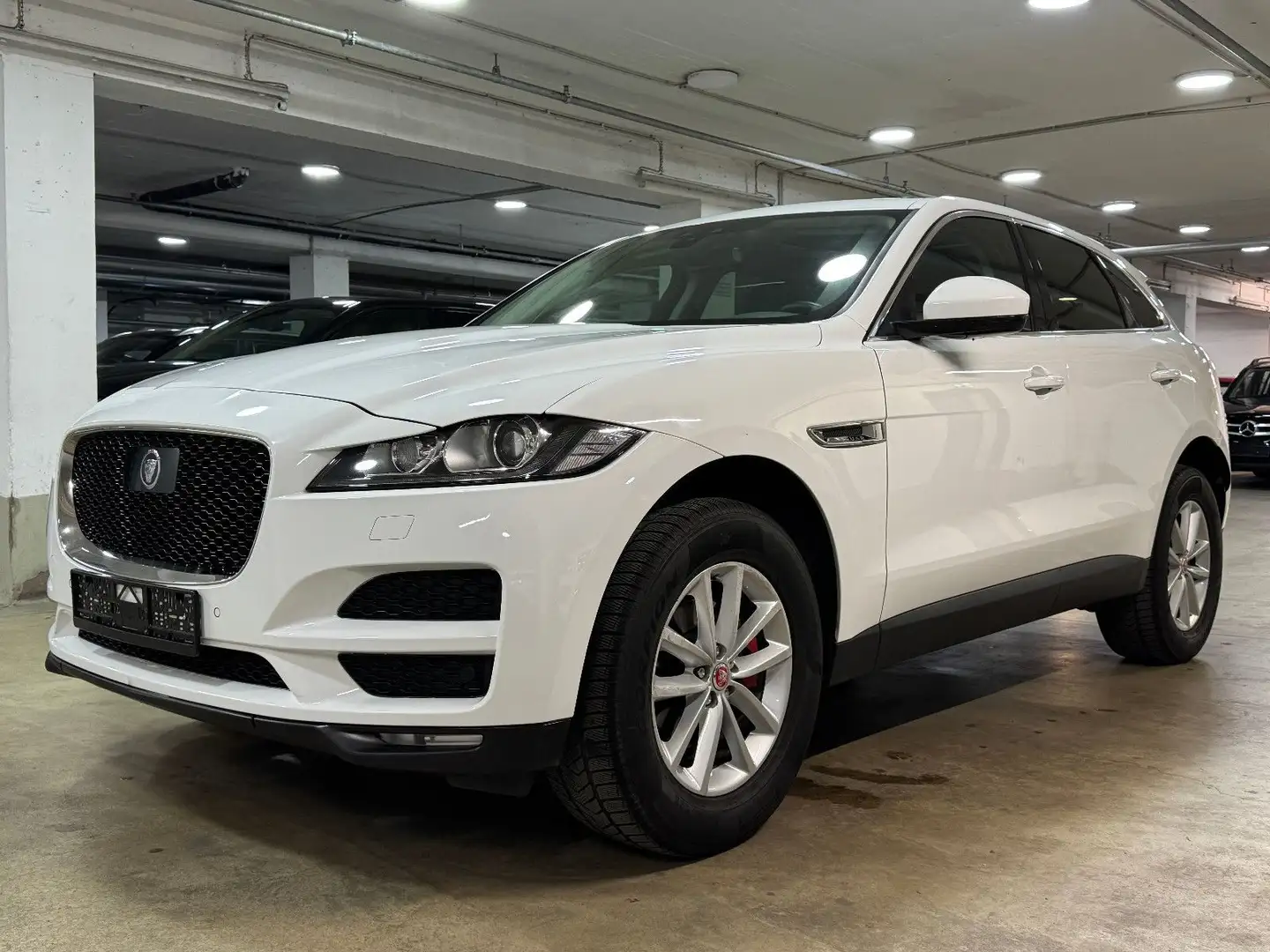Jaguar F-Pace F-PACE AWD Navi~Klima~Automatik~Pano~Leder Wit - 1
