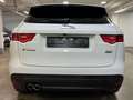 Jaguar F-Pace F-PACE AWD Navi~Klima~Automatik~Pano~Leder Wit - thumbnail 5