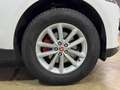 Jaguar F-Pace F-PACE AWD Navi~Klima~Automatik~Pano~Leder Wit - thumbnail 8