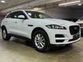 Jaguar F-Pace F-PACE AWD Navi~Klima~Automatik~Pano~Leder Wit - thumbnail 3
