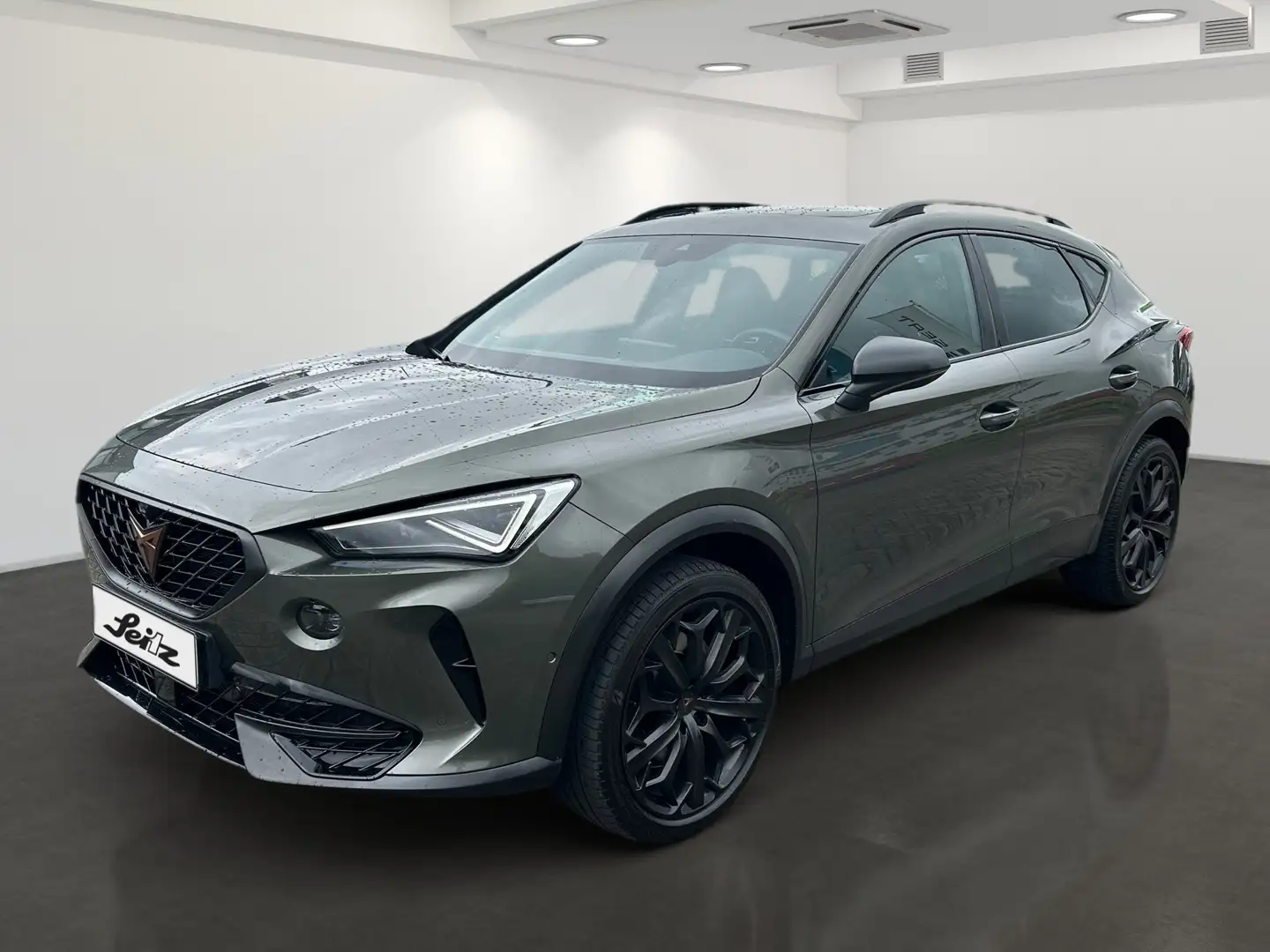 CUPRA Formentor 2.0 TSI 4Drive VZ Tribe Edition *AHK*BEATS*MATRIX* Gris - 2