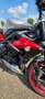 Triumph Street Triple 675 RX Zilver - thumbnail 9