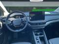 Skoda Elroq Studio 50 Tour 55 kWh Batterie Elektromotor 125 k Gris - thumbnail 10