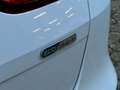 Kia Ceed / cee'd I AHK I CAR-PLAY I RFK I LED I PLUG-IN Weiß - thumbnail 9
