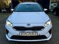 Kia Ceed / cee'd I AHK I CAR-PLAY I RFK I LED I PLUG-IN Weiß - thumbnail 2