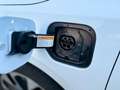 Kia Ceed / cee'd I AHK I CAR-PLAY I RFK I LED I PLUG-IN Weiß - thumbnail 5