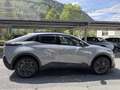 Subaru Sonstige Uncharted Nozomi 77kWh AWD Grau - thumbnail 4