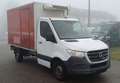 Mercedes-Benz Sprinter 316 CDI Fahrt- & Standkühlung AHK 3,5t Weiß - thumbnail 3