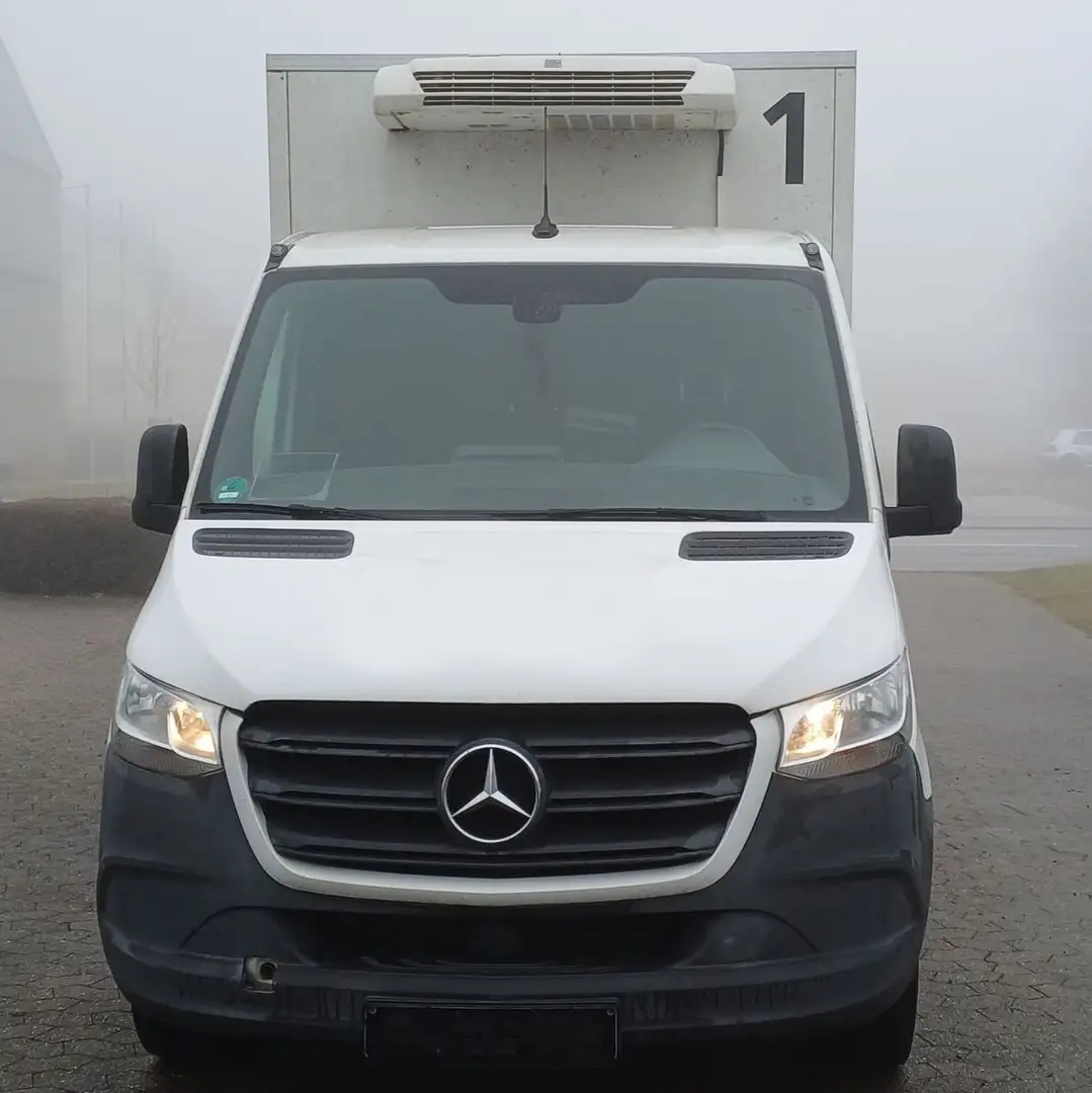 Mercedes-Benz Sprinter 316 CDI Fahrt- & Standkühlung AHK 3,5t Weiß - 2