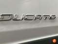 Fiat Ducato L2H2 Blanco - thumbnail 12
