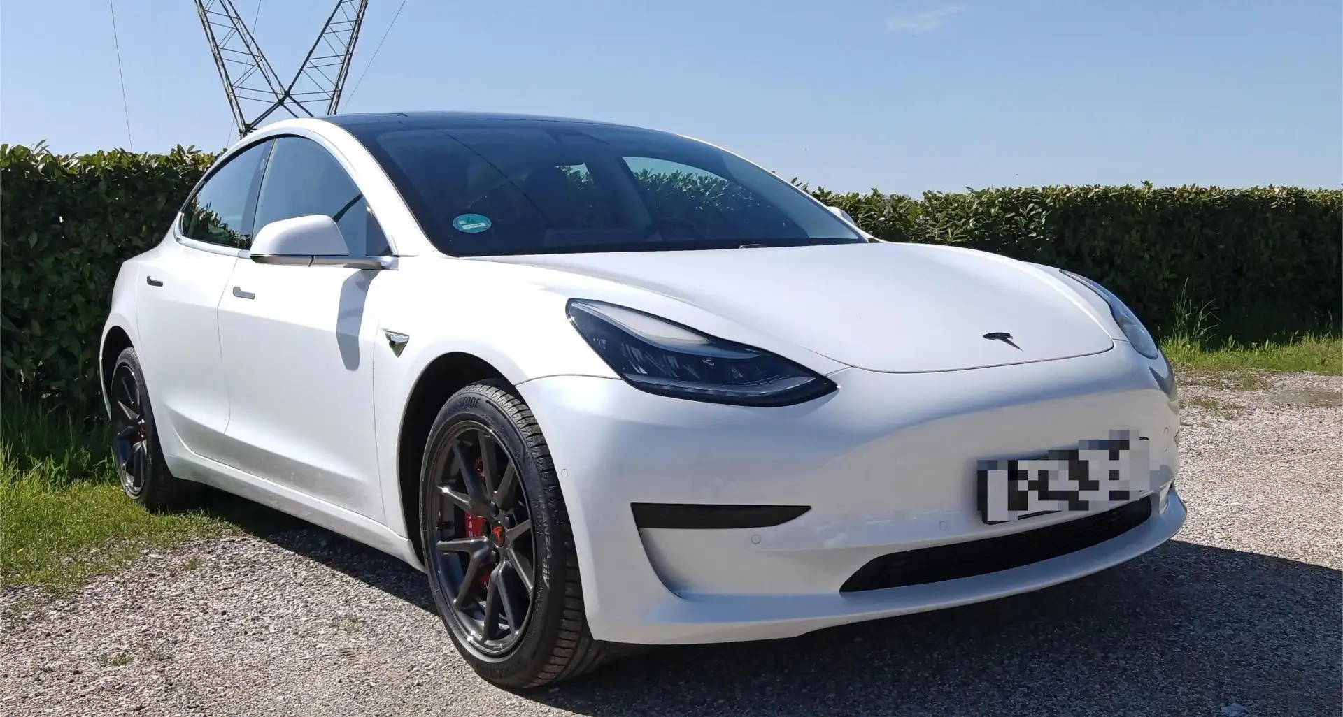 Tesla Model 3 Model 3 Standard rwd Plus Bianco - 2