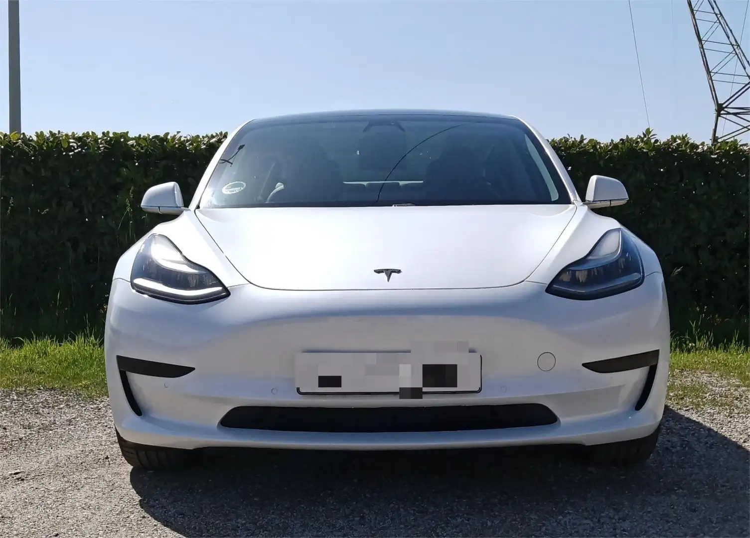 Tesla Model 3 Model 3 Standard rwd Plus Bianco - 1