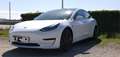 Tesla Model 3 Model 3 Standard rwd Plus Bianco - thumbnail 3