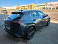 Lexus UX 200 + 2WD Gris - thumbnail 20