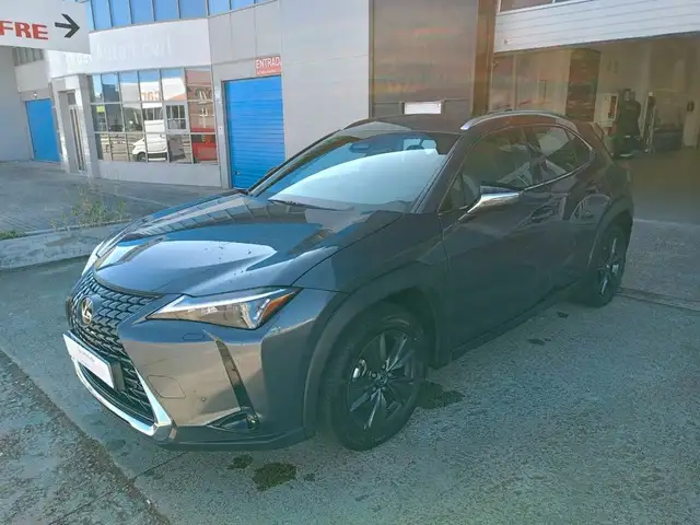 Lexus UX 200 + 2WD