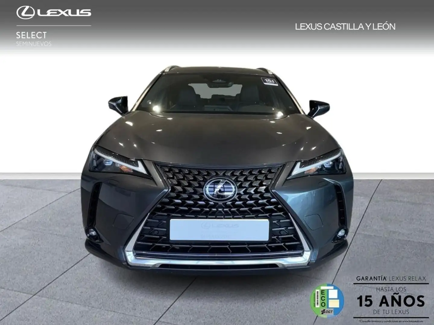 Lexus UX 200 + 2WD Grau - 2