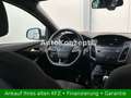 Ford Focus 1,0 EcoBoost ST-Line|1.Hd|Tempomat|EU6|SHZ Weiß - thumbnail 15