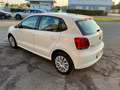 Volkswagen Polo Polo V 2009 5p 1.4 Comfortline bi-fuel Blanc - thumbnail 6