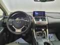 Lexus NX 300 300h Premium 2WD Gris - thumbnail 21