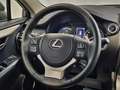 Lexus NX 300 300h Premium 2WD Gris - thumbnail 18