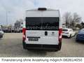 Fiat Ducato Luxusbus Panorama L2H2*9-Sitze*Kamera*DAB Weiß - thumbnail 4