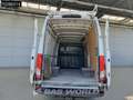 Iveco Daily 35C14 Automaat Dubbellucht L2H2 3,5t Trekhaak Airc Wit - thumbnail 3