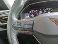 CUPRA Formentor 1,5 TSI Cupra DSG Gris - thumbnail 12
