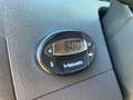 Volkswagen T5 Multivan Multivan Startline Blanco - thumbnail 13