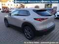 Mazda CX-30 2.0L e-SKYACTIV X Automatik Exclusive Plateado - thumbnail 7