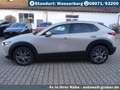 Mazda CX-30 2.0L e-SKYACTIV X Automatik Exclusive Plateado - thumbnail 9