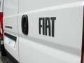 Fiat Ducato 2.2 Mjet 140cv 35 Q.li L2H2 SERIE 2 Blanc - thumbnail 14