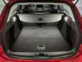 Ford Focus 1.0 Ecoboost 155CV MHEV Active Negro - thumbnail 17