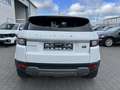 Land Rover Range Rover Evoque SE, 2.0 Diesel, Euro 6, AHK Weiß - thumbnail 14