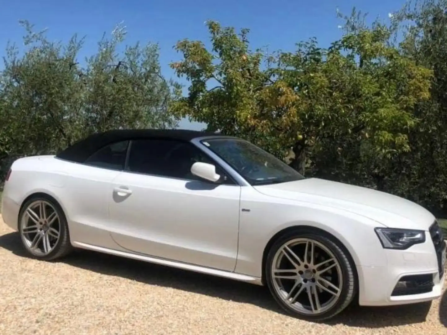 Audi A5 A5 Cabrio 3,0 TDI quattro DPF S-tronic Weiß - 1