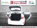 Ford Fiesta Cool & Connect LED+WINTER-PAKET+TEMPOMAT White - thumbnail 22