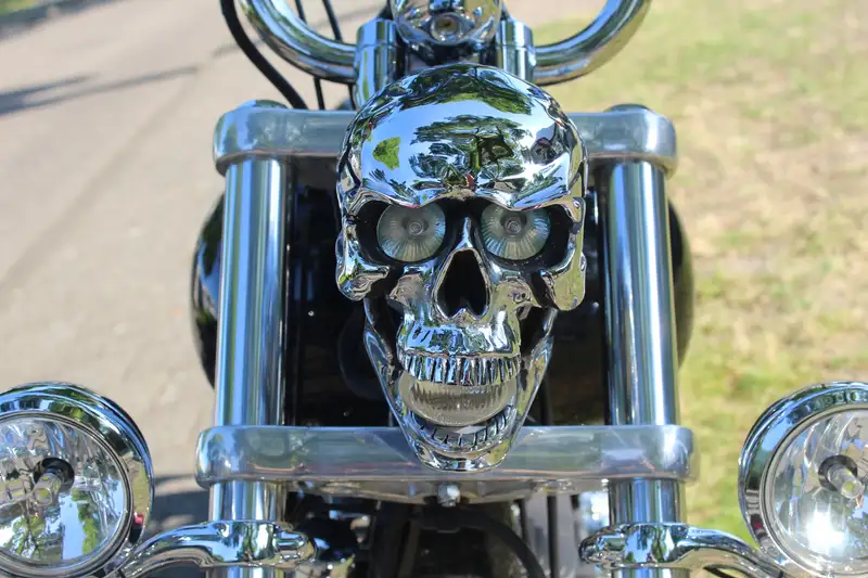 Harley-Davidson Dyna Wide Glide - foto 5