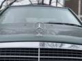 Mercedes-Benz E 220 Elegance W124 | 200 Serie | 2e Eigenaar | Laatste Зелений - thumbnail 5