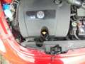 Volkswagen New Beetle Cabriolet 1.6 Highline/stoelverw/distr net vervang Rot - thumbnail 22